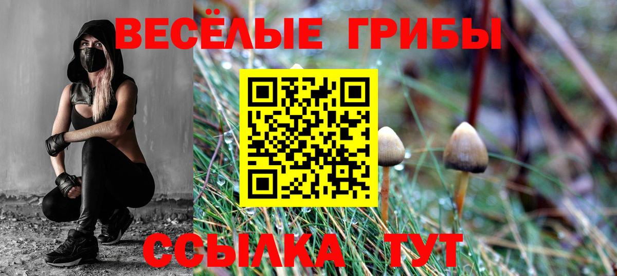 Псилоцибиновые грибы прущие грибы  Омск 